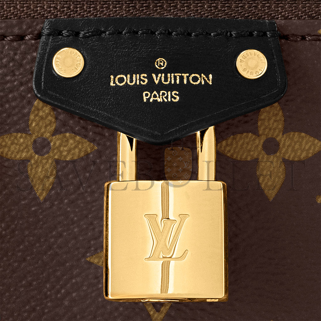 LOUIS VUITTON VANITY CHAIN POUCH M47125 (19*11.5*6.5cm)